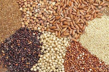 قیمت انواع نهاده های دامی و محصولات کشاورزی ۳۰ تیر ۱۴۰۵