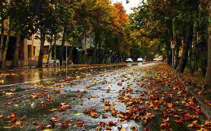 پاییز پر بارش در حاله ابهام پاییز پر بارش در حاله ابهام