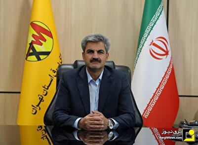 شناسایی ۶۰ هزار انشعاب غیرمجاز برق در استان تهران
