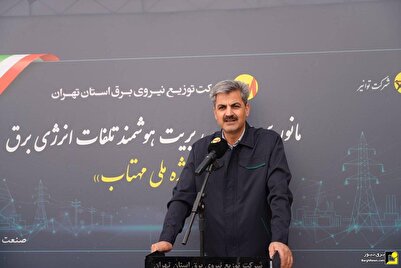 مقابله قاطع با برقهای غیرمجاز استان تهران در دستور کار مقابله قاطع با برقهای غیرمجاز استان تهران در دستور کار